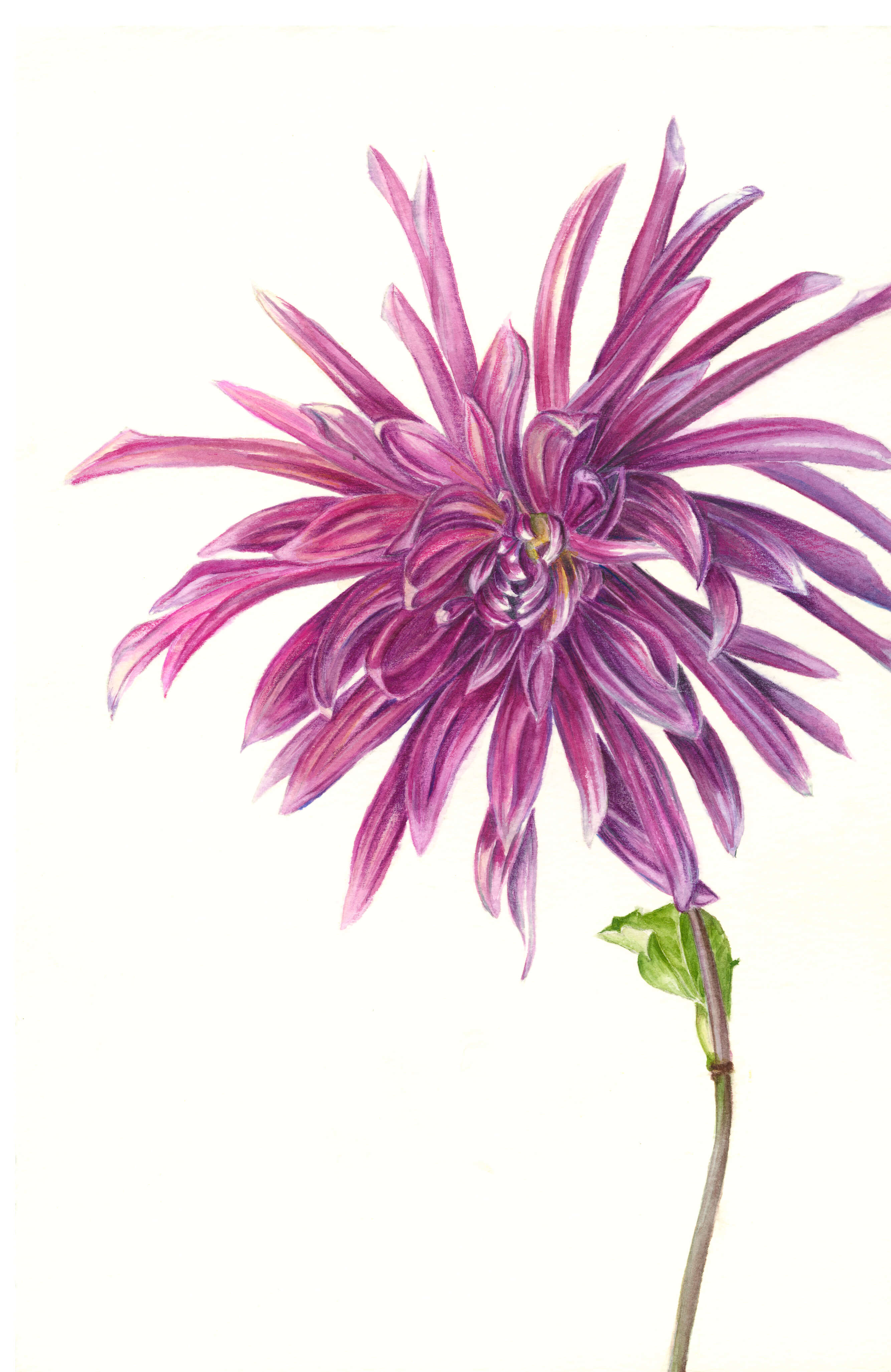 Art in Bloom Calendar image