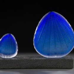 "Deep Sea Blossoms", blown and carved glass, 12 x 17 x 6, 2016, $6,500. Photo by Mark Johnston