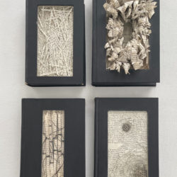 Shiela Hale, 4 Volumes from "Archive," altered texts and materials from nature, each volume is approximately 7 in. x 9 in. x 2 in., 2001-2020
